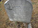 image of grave number 81843